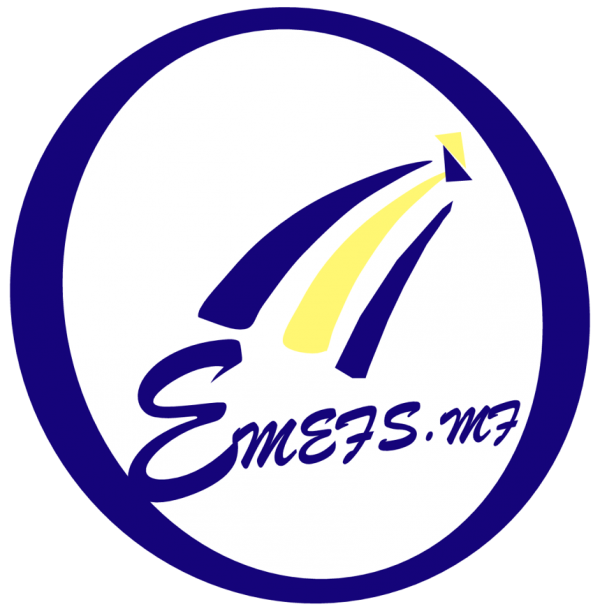 Emefs Micro Finance Ltd