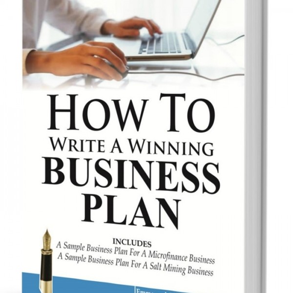 business plan writing price