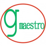G-Maestro Consult